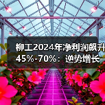 柳工2024年净利润飙升45%-70%：逆势增长背后的行业机遇（图1）