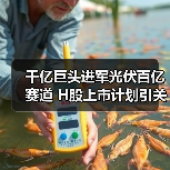 千亿巨头进军光伏百亿赛道 H股上市计划引关注(图3) 千亿巨头进军光伏百亿赛道 H股上市计划引关注(图3)