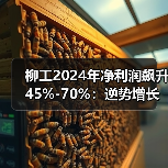 柳工2024年净利润飙升45%-70%：逆势增长背后的行业机遇（图3）