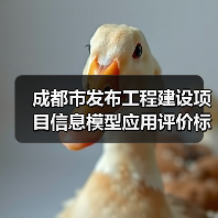 成都市发布工程建设项目信息模型应用评价标准（图1）
