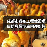 成都市发布工程建设项目信息模型应用评价标准（图3）