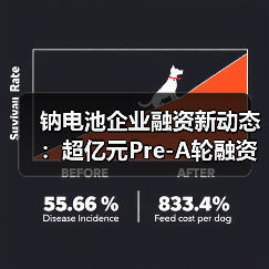 钠电池企业融资新动态:超亿元Pre-A轮融资助力2GWh生产线建设(图1) 钠电池企业融资新动态:超亿元Pre-A轮融资助力2GWh生产线建设(图1)