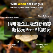 钠电池企业融资新动态:超亿元Pre-A轮融资助力2GWh生产线建设(图3) 钠电池企业融资新动态:超亿元Pre-A轮融资助力2GWh生产线建设(图3)