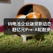 钠电池企业融资新动态:超亿元Pre-A轮融资助力2GWh生产线建设(图4) 钠电池企业融资新动态:超亿元Pre-A轮融资助力2GWh生产线建设(图4)