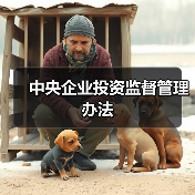 中央企业投资监督管理办法(图3) 中央企业投资监督管理办法(图3)