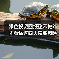 绿色投资回报稳不稳?先看懂这四大隐藏风险(图4) 绿色投资回报稳不稳?先看懂这四大隐藏风险(图4)