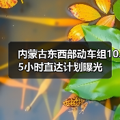 内蒙古东西部动车组10.5小时直达计划曝光(图3) 内蒙古东西部动车组10.5小时直达计划曝光(图3)