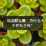 花店那么美,为什么十个开九个亏?(图4) 花店那么美,为什么十个开九个亏?(图4)