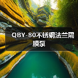 QBY-80不锈钢法兰隔膜泵(图2) QBY-80不锈钢法兰隔膜泵(图2)