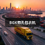 BGK有孔包衣机(图2) BGK有孔包衣机(图2)