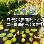 银行股投资风险，过去二十年如何一步步走到今天？